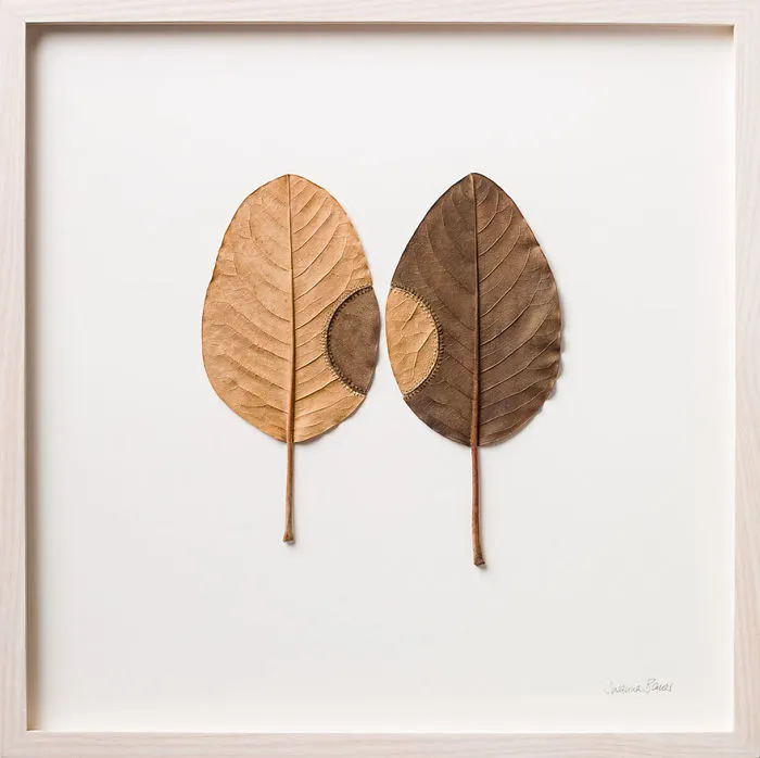 “Trans-Plant No.19”