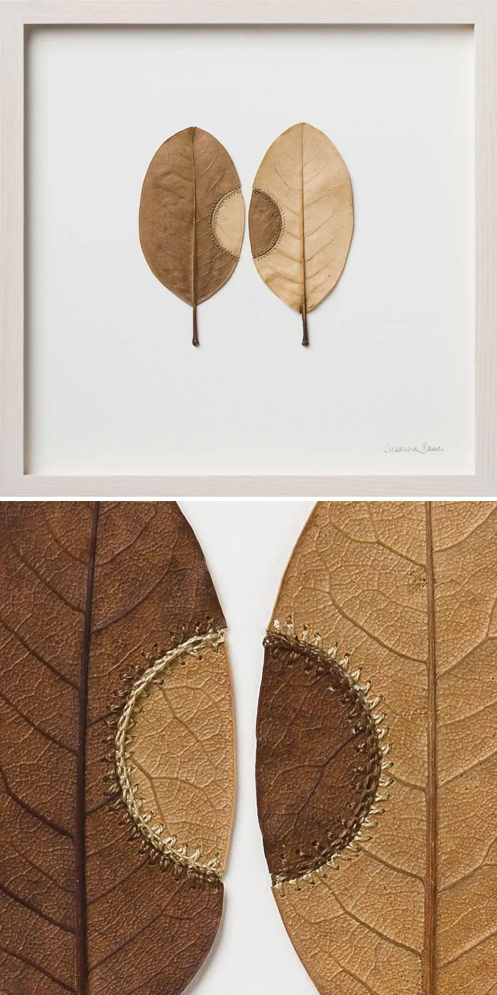 Trans-Plante Nº 21