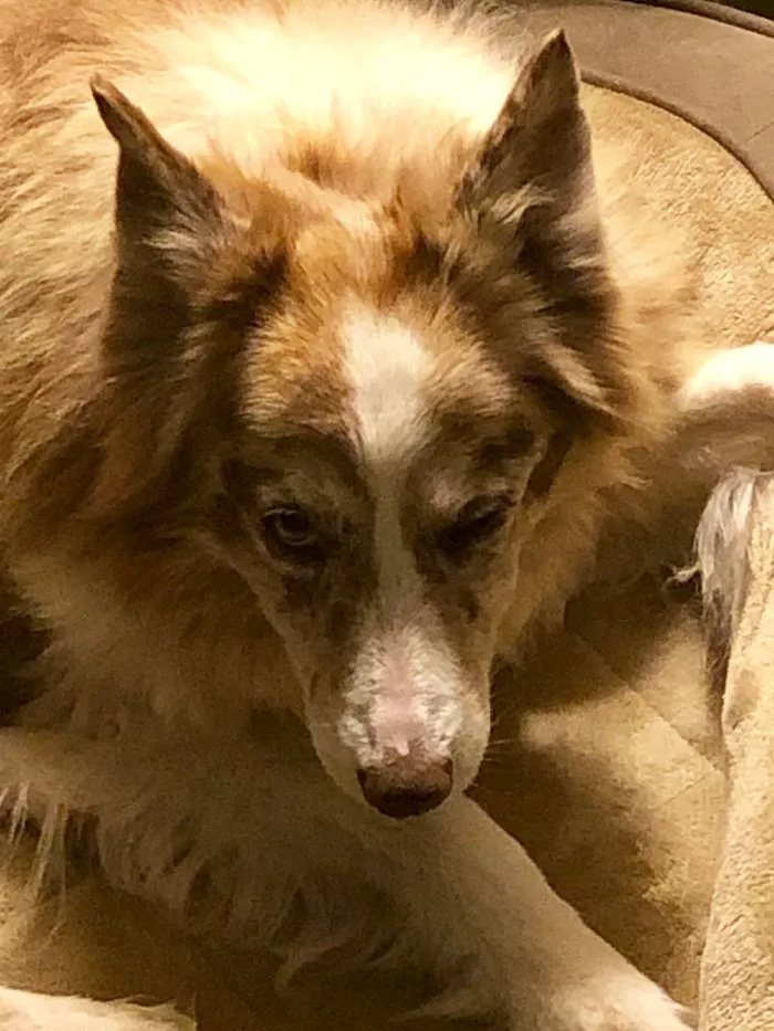 She's So Photogenic