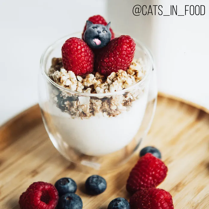 I Photoshop Two Of The Best Things In The World Together - Cats And Food (30 New Pics)