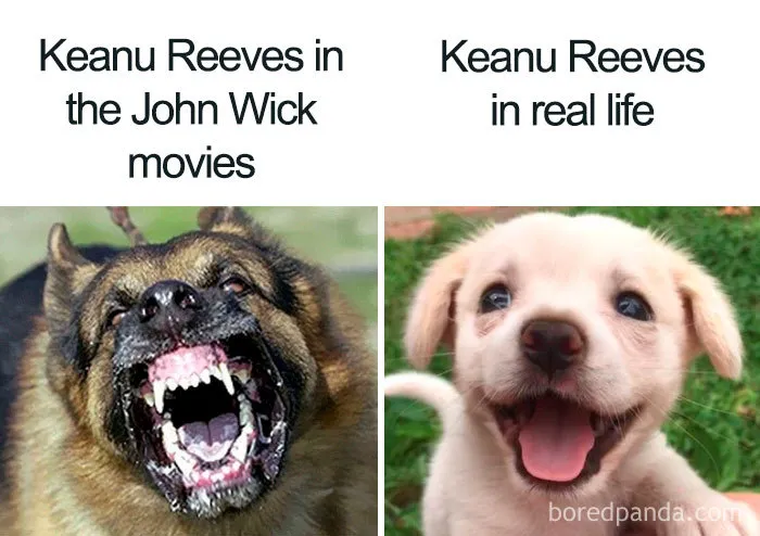 Keanu Reeves Is Truly Breathtaking And Here Are 30 Memes About Him