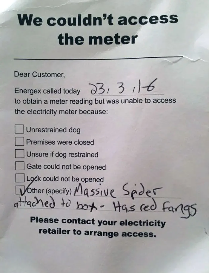 Meanwhile In Australia