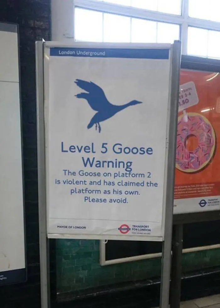 Meanwhile In London