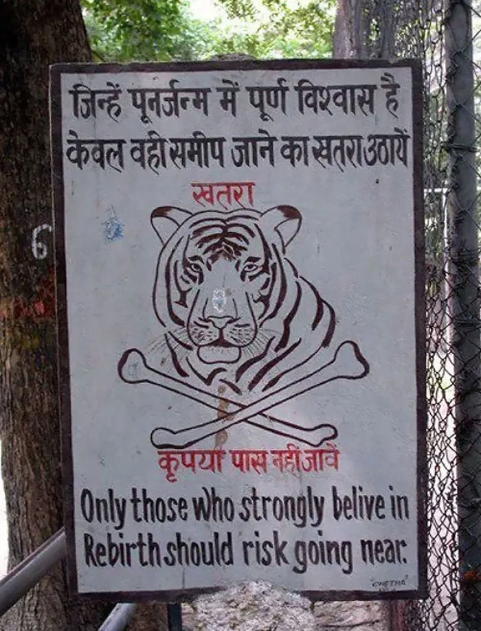 Meanwhile In India