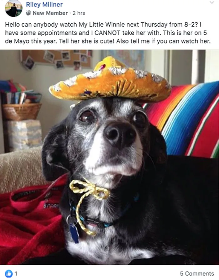 Millennials Are Pretending To Be Baby Boomers In This FB Group And Here Are 25 Hilarious Posts