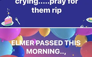 Millennials Are Pretending To Be Baby Boomers In This FB Group And Here Are 25 Hilarious Posts