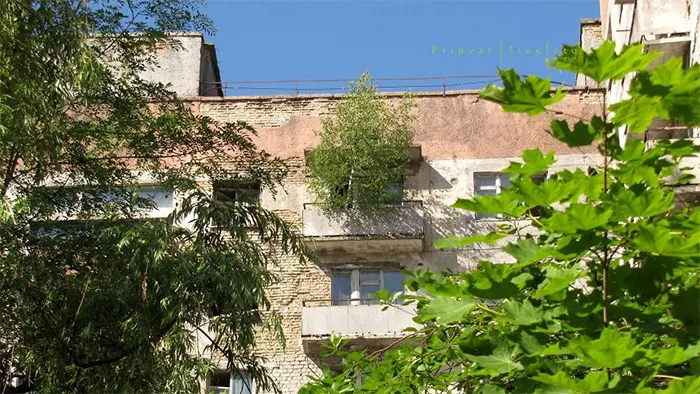 Nature Wins The Battle Against Civilization