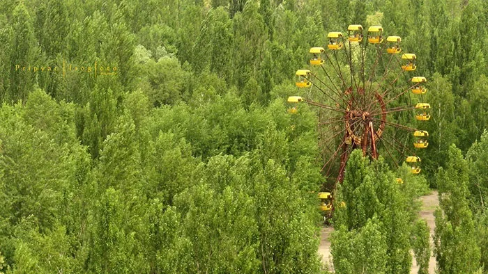 Nature Wins The Battle Against Civilization