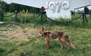 30 Photos Of Nature Winning The Battle Against Civilization In The Exclusion Zone Around Chernobyl