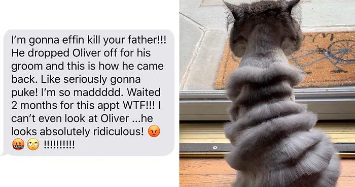 Dad Takes Family Cat To Pet Groomer And Returns With A Cat That Looks Like Accordion