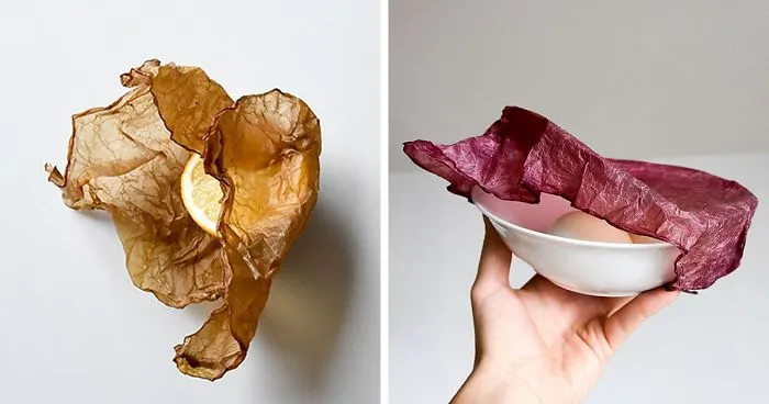 Scientists Create Zero-Waste Packaging That Composts Just Like Vegetables
