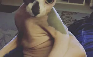 People Are Sharing The Most Unflattering Pics Of Their Pets And It's Hilarious (30 Pics)