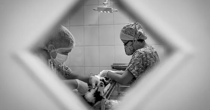 My Photo Series “Demystification Of Voluntary Work” Shows What Really Happens At An Animal Shelter