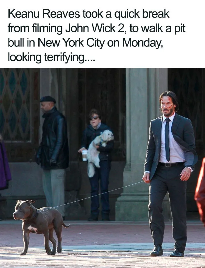 27 Awesome Things About Keanu Reeves That Will Make You Fall In Love With Him Even More