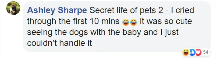 Someone Asks Women The Silliest Thing They Cried Over During Pregnancy And They Deliver 30 Responses