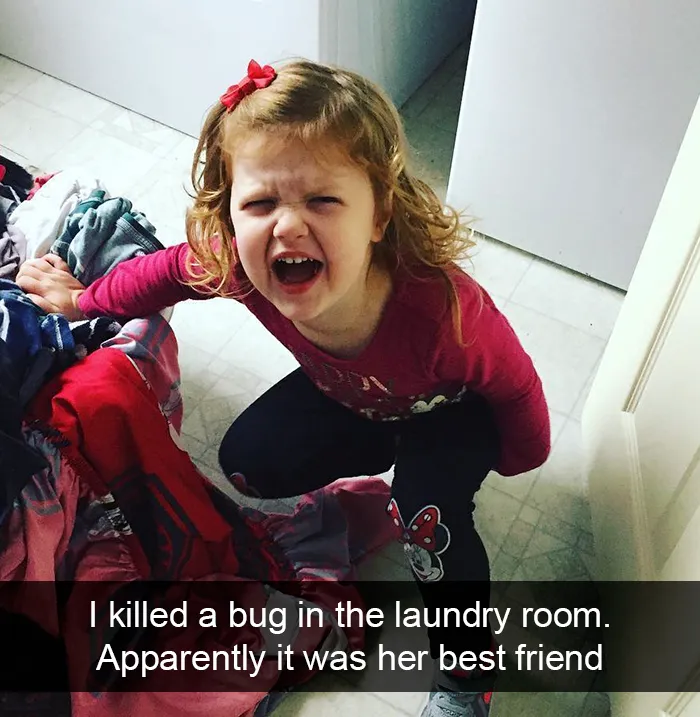 I Killed A Bug In The Laundry Room. Apparently It Was Her Best Friend