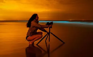 My 10 Fairy-Like Pics Show The Presence Of Sea Sparkle On The Dutch Coast