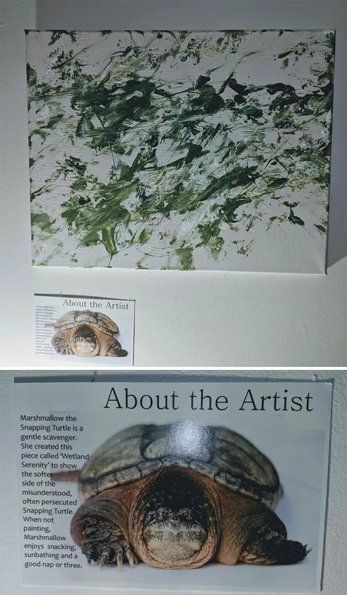 Vimos este cuadro pintado por una tortuga mordedora