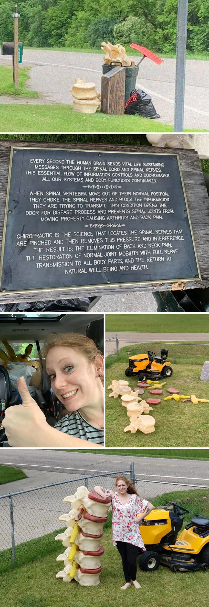 Thought I Saw Massive Vertebrae As I Was Driving Home Today
