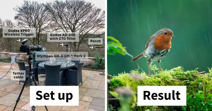 After Getting Criticized For Bird Photos I Started Setting Up Photo Stages For Them (16 Pics)