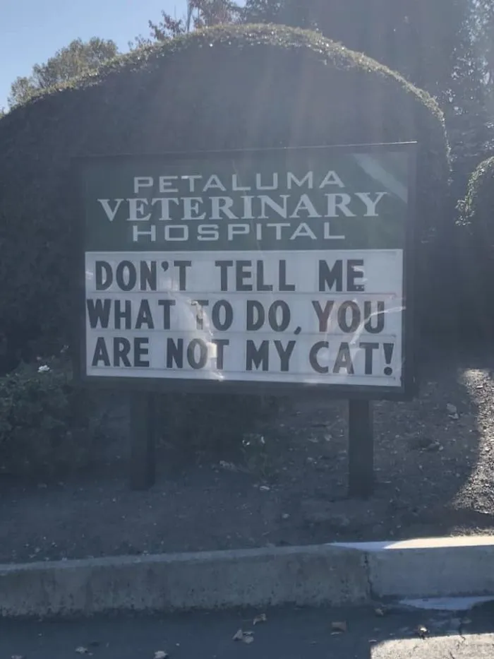Well, that escalated quickly