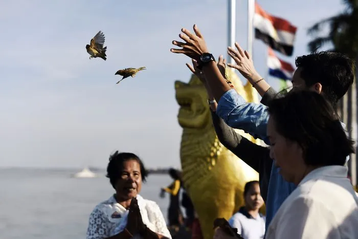Releasing Birds For Hope