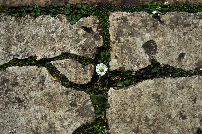 Spring'