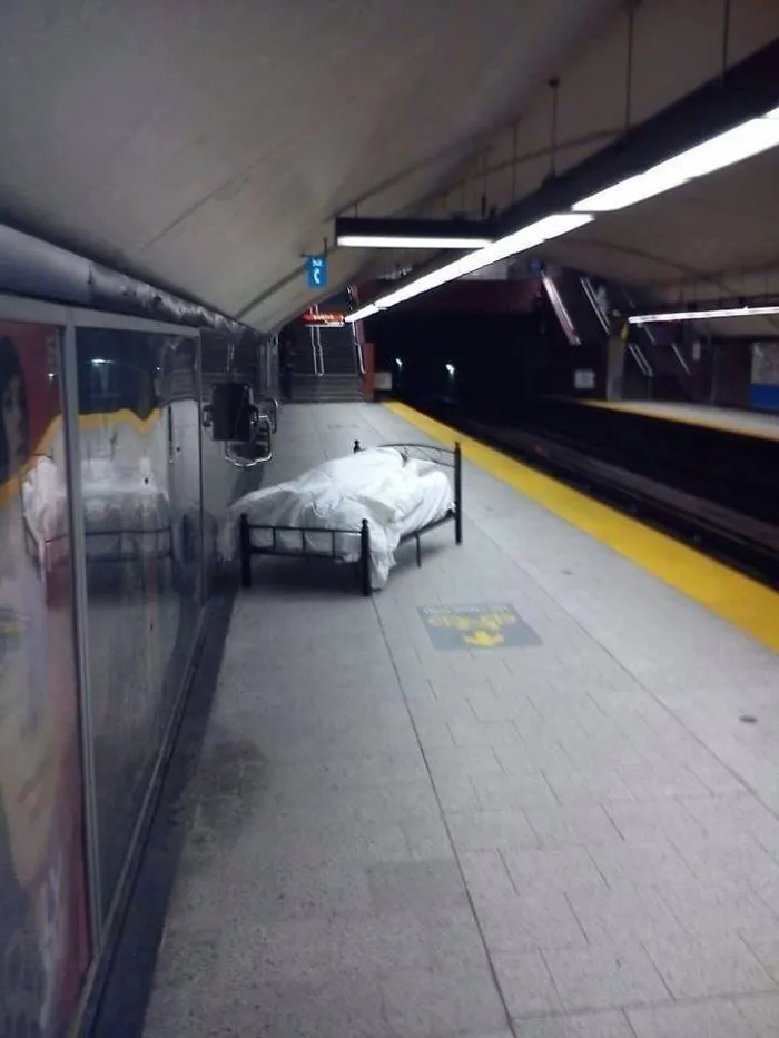 Parecía una mañana normal hasta que...