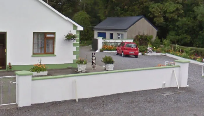 30 Best Accidentally Taken Animal Pics By Google Street View