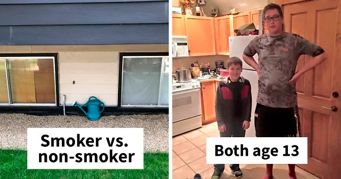 50 Captivating Comparison Photos That Challenge Your Perception (New Pics)