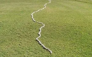 Australia Is The Land Of ‘Nope’, And These 75 Pictures Prove It