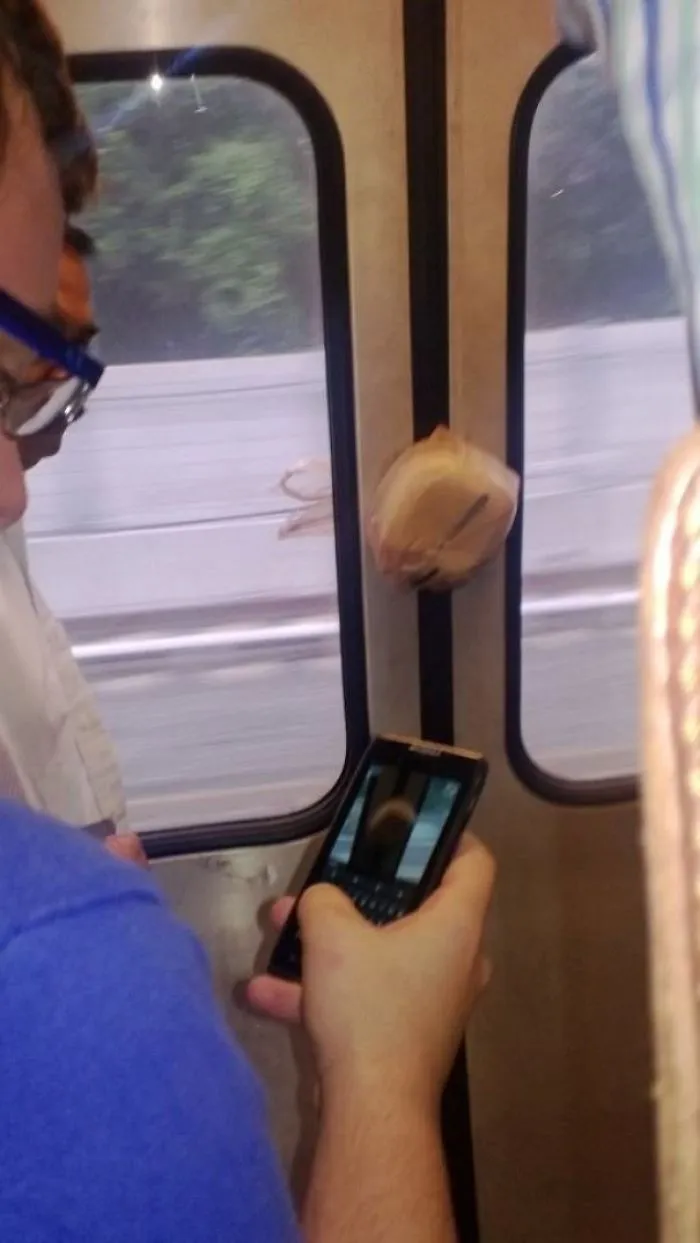 This Guy's Lunch Made It Onto The Train Without Him This Morning