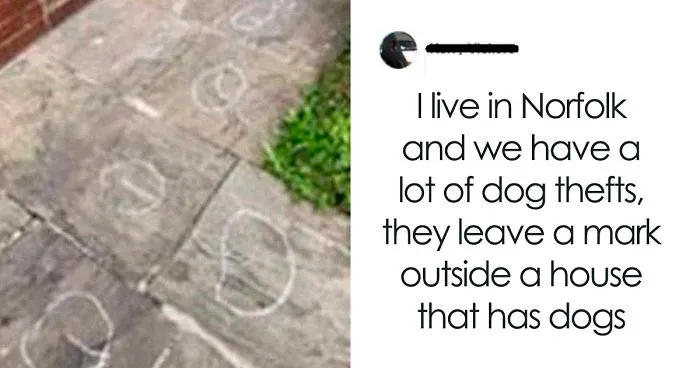 Neighbors Get Nervous Seeing Mysterious Symbols Appearing, Inform The Police, Turns Out It's A Butt