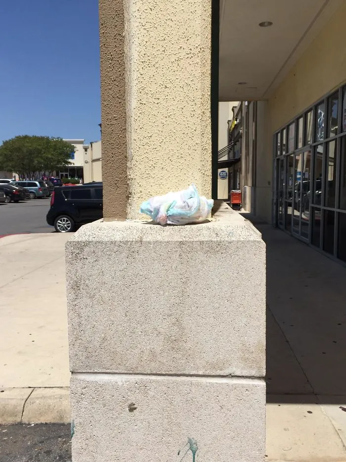 ¡El mundo es tu cubo de basura! La madre me vio protestar y hacerle una foto, pero le dio igual