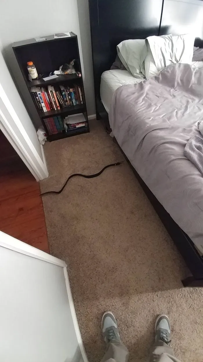 Cuando entras en tu cuarto y pegas un salto del susto
