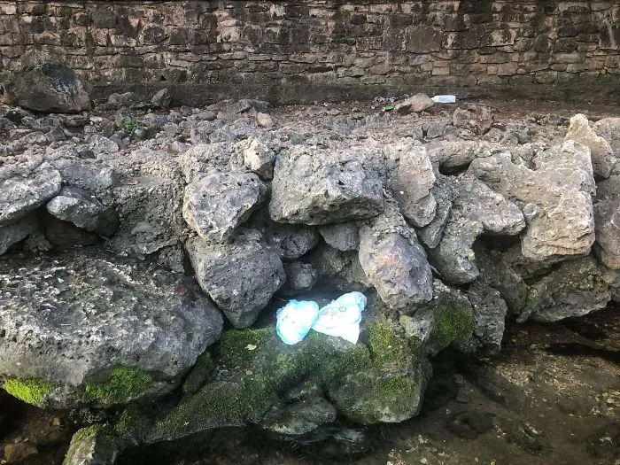 Premio para los padres que dejaron los pañales sucios en las rocas de un manantial cuando había una papelera a 10 metros