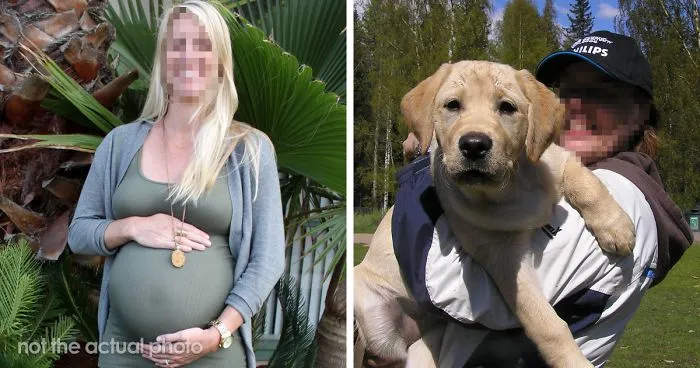 Woman Demands This Dog's Name Be Changed Because That's How She Wants To Call Her Newborn, Goes Ballistic After Owner Refuses