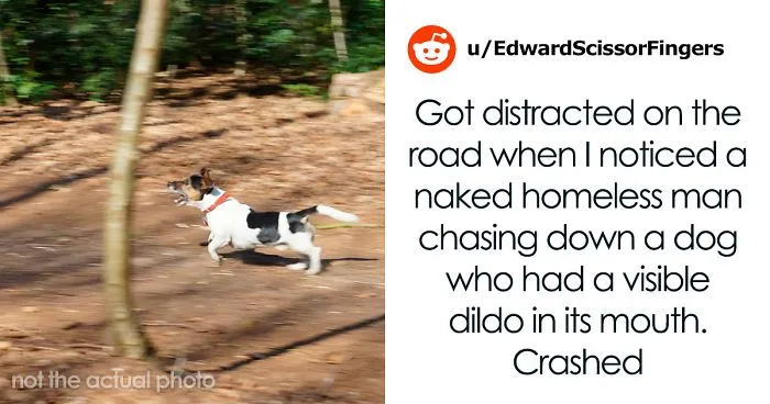 Guy Shares How He Ruined His Perfect Proposal Plan Because Of A Naked Homeless Guy And A Dog Running With A Dildo