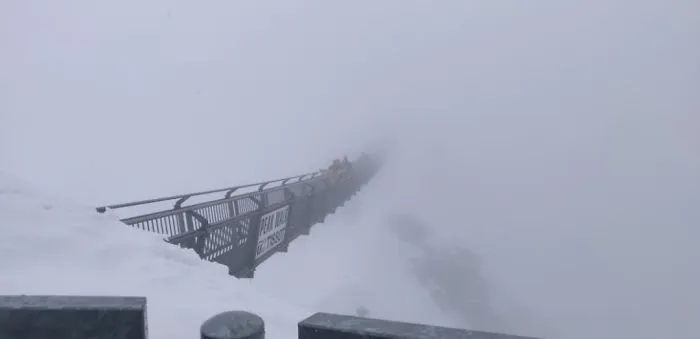 Flew To Another Continent To Watch The Glacier 3000, Cant Say Worth It