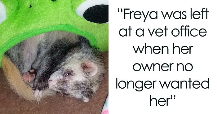 I'm Starting An Animal Rescue To Give Abandoned Animals A Second Chance At Life