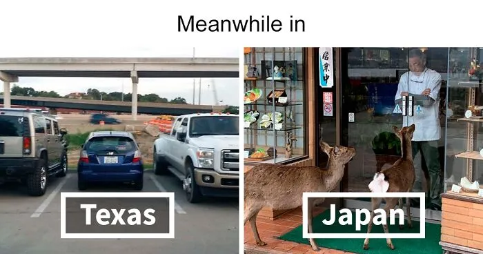 People Are Posting 'Meanwhile In' Memes That Hilariously Summarize Different Countries (40 Pics)