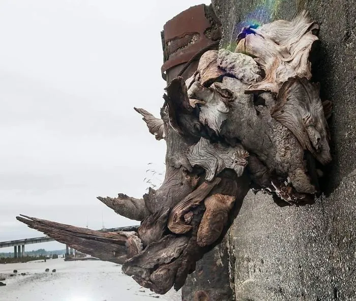 30 Amazing Wood Sculptures Made From The Pieces Found On Beaches