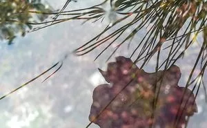 I Used Water To Create Different Reflection Images