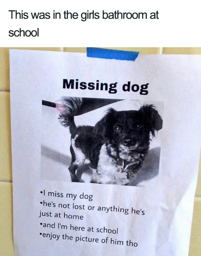 30 Wholesome Dog Posts That Will Hopefully Make Your Day (New Pics)