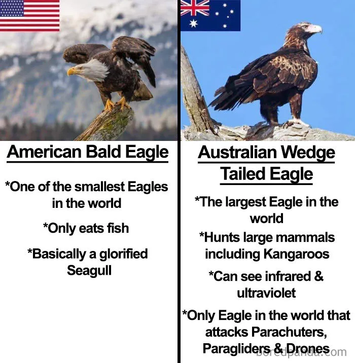 33 Funny 4th of July Memes To Crack You Off Like Fireworks