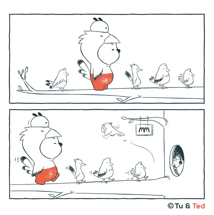 Fly-Thru