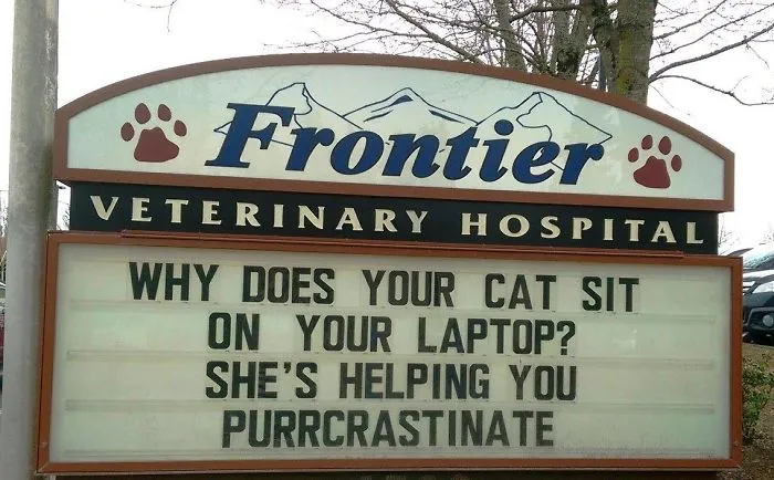 Funny cat joke about purrcrastination displayed on a veterinary hospital sign outside a vet clinic.