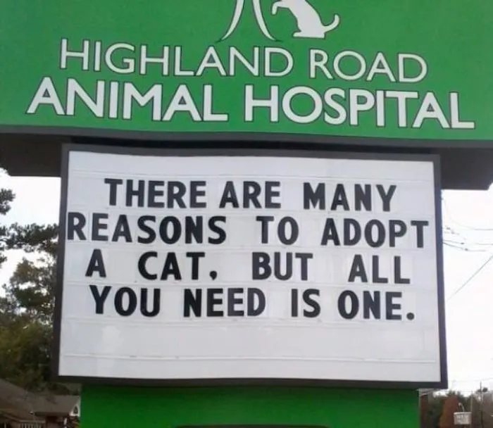 Animal hospital sign with a funny cat joke about reasons to adopt a cat, featured among cat jokes vet clinics put up on signs.