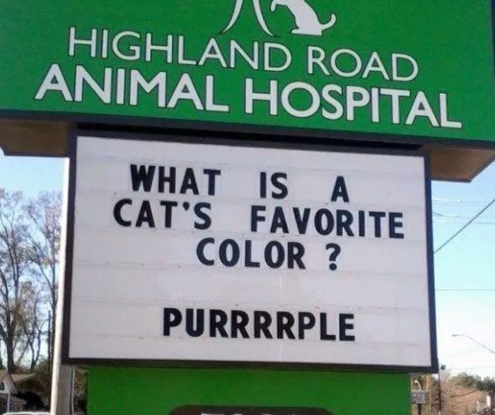 Animal hospital sign with a funny cat joke asking about a cat's favorite color, answered with "Purrrrple" humor.