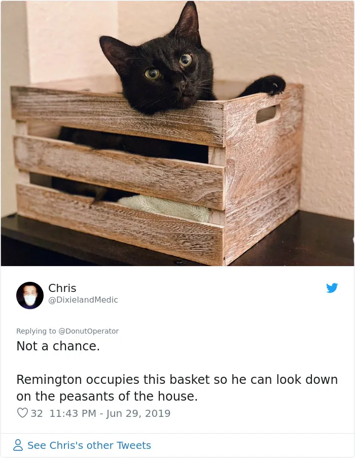 Guy “Tricks” People Into Sending Them Cute Cat Pics